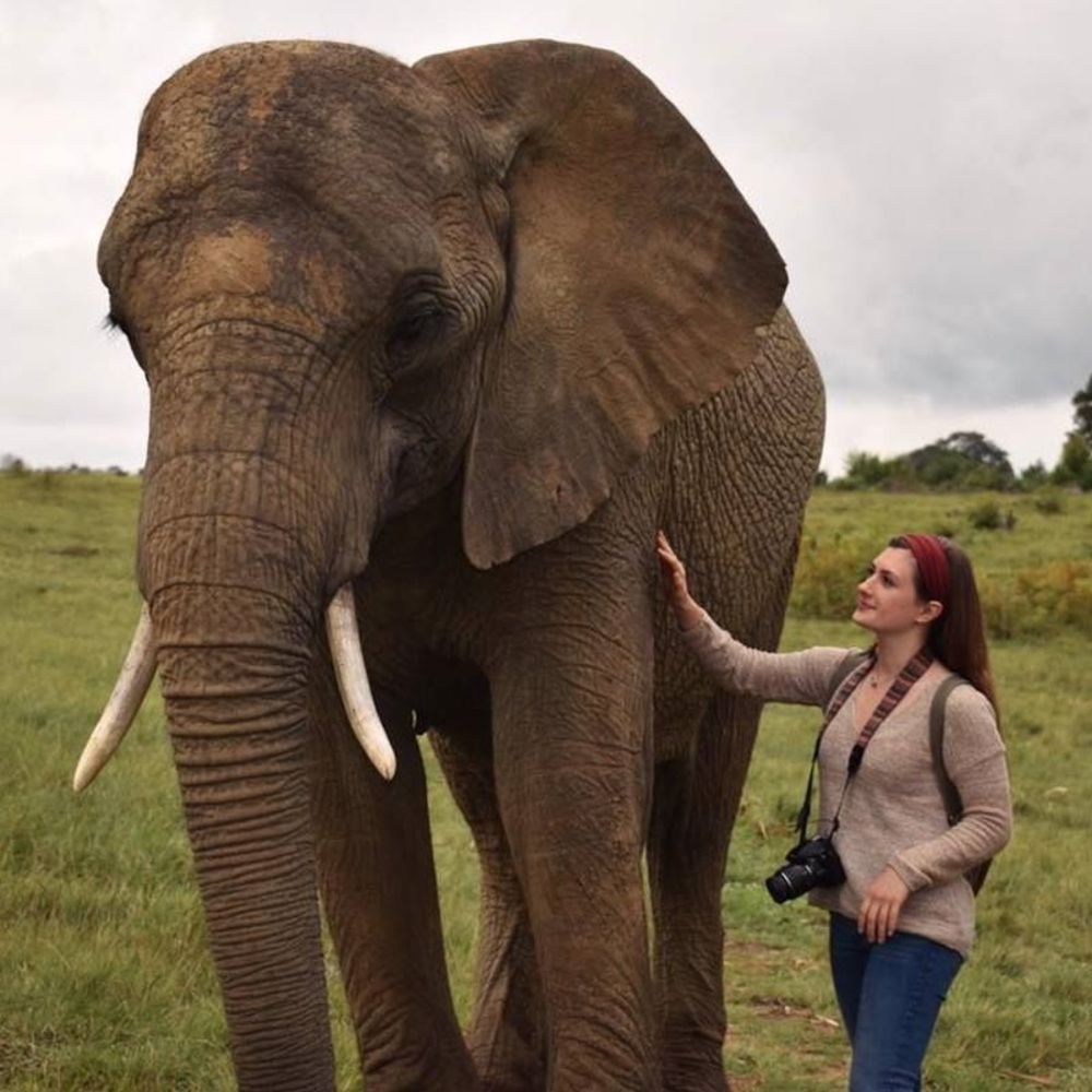 Meet your Posher, Maddy